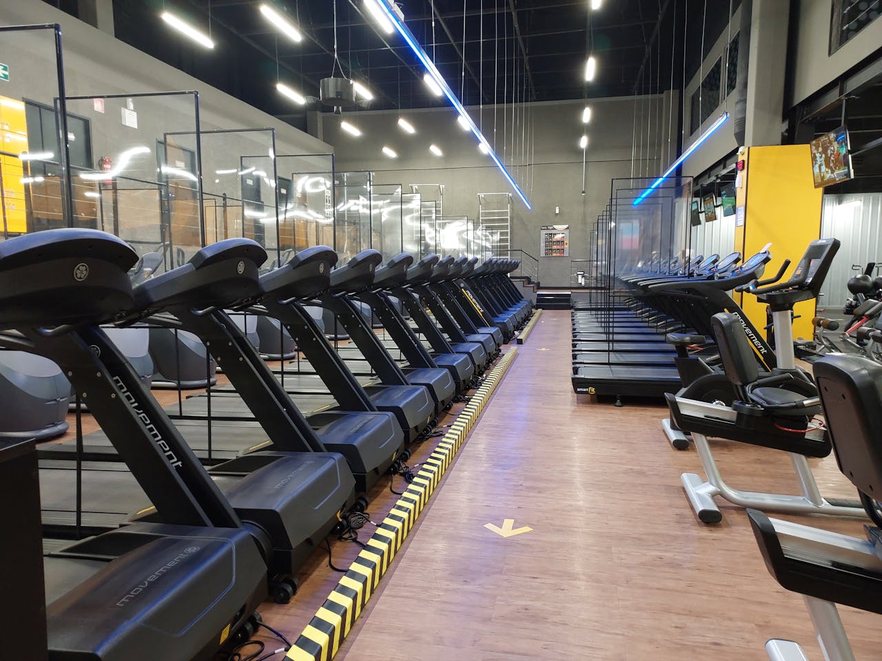 Services Row of treadmills and exercise machines in a well-lit modern gym setting.